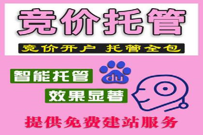 专业SEM托管服务，案例解读SEO优化策略